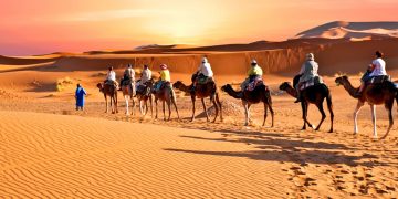 Service de Transferts